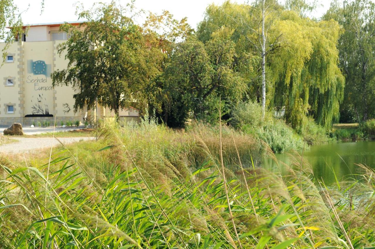Seehotel Europa Schwanau Exterior foto